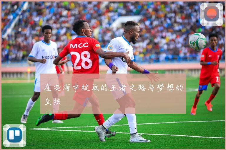 在花海中绽放的王者之路与梦想的交织